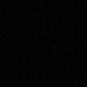 Meet your Posher, Maurice